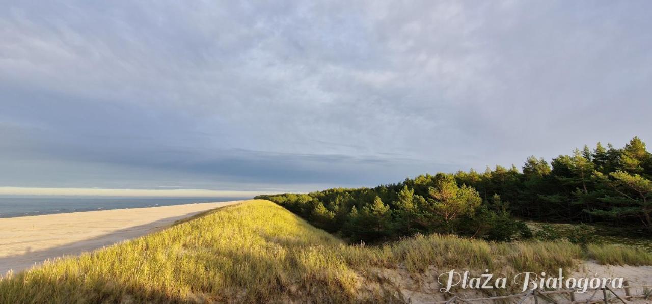 Vila Zakatek Ciszy. Sluchowo Exteriér fotografie